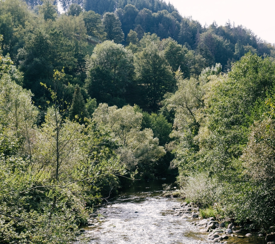 ALPENLÄNDISCHE HOCHZEIT