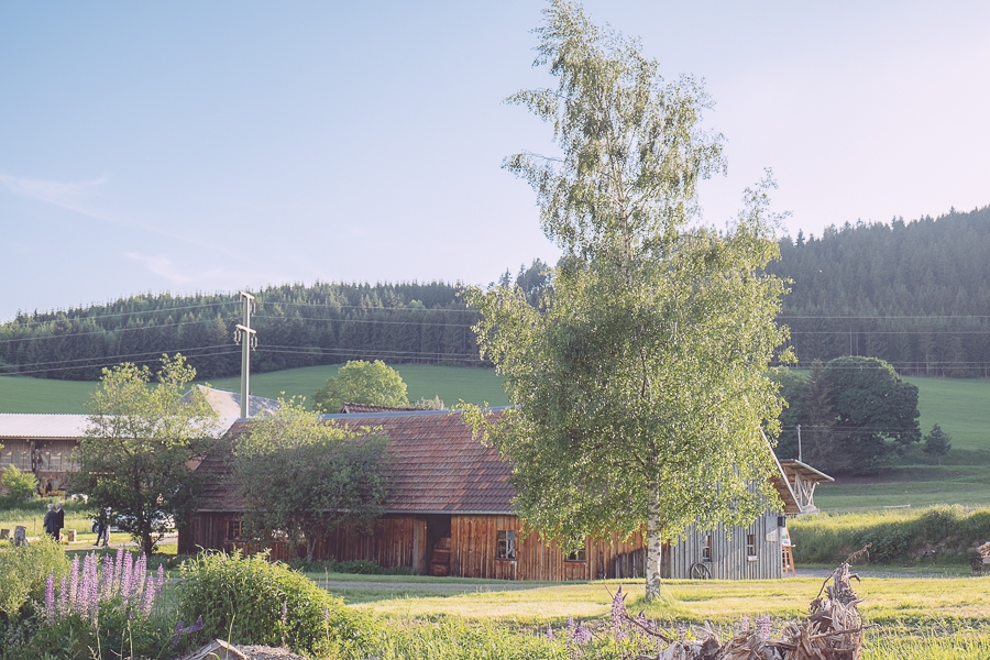 WILDROMANTISCHE HOCHZEIT  IN DER FÖRBERHOFMÜHLE