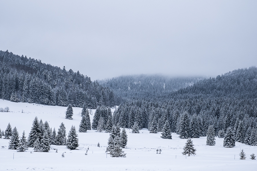 NATURE - LANDSCAPE